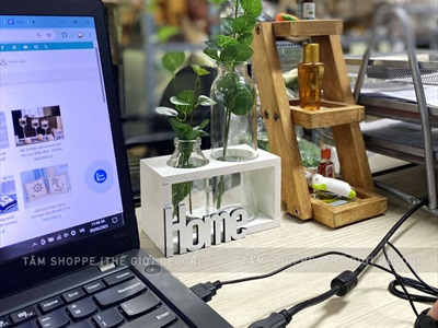 Bộ khung gỗ chữ nhật kèm lọ thuỷ tinh cắm hoa thuỷ canh [3 màu - 3 size] BINHLOHOA-05